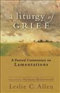 A Liturgy of Grief