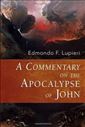 A Commentary on the Apocalypse of John
