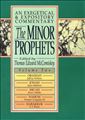 The Minor Prophets: An Exegetical and Expository Commentary : Obadiah, Jonah, Micah, Nahum, and Habakkuk