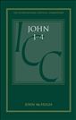 John 1-4: A Critical and Exegetical Commentary