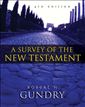 Survey of the New Testament, A