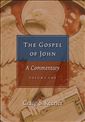 The Gospel of John: A Commentary
