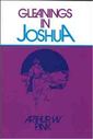 Gleanings in Joshua