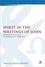 Spirit in the Writings of John: Johannine Pneumatology in Social-Scientific Perspective