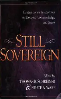 Still Sovereign: Contemporary Perspectives on Election, Foreknowledge, and Grace