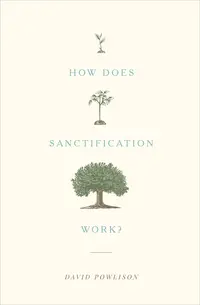 How Does Sanctification Work?