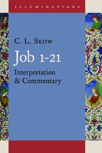 Job 1 21 Introduction And Commentary By Choon Leong Seow 9780802848956 Best Commentaries 4708