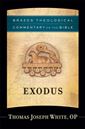 Best Commentary On Exodus | Best Commentaries Reviews