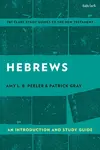Hebrews: An Introduction and Study Guide