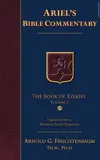 The Book of Ezekiel: Vol. 2 (33-48)