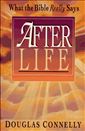 After Life: What the Bible Really Says