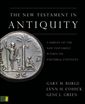 The New Testament in Antiquity: A Survey of the New Testament within Its Cultural Context 
