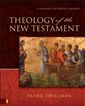 Theology of the New Testament: A Canonical and Synthetic Approach