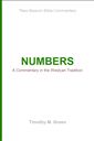 Numbers: A Commentary in the Wesleyan Tradition