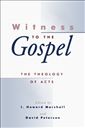 Witness to the Gospel: The Theology of Acts (Theology, Biblical Studies)